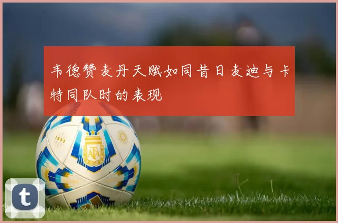 韦德赞麦丹天赋如同昔日麦迪与卡特同队时的表现